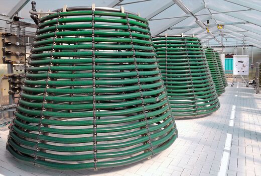 Bild des GICON®-Photobioreaktors.